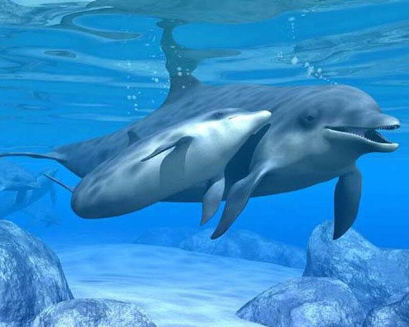 Dolphins Swimming Underwater — Blue, Serene, Digital Art, Ocean, Rocks