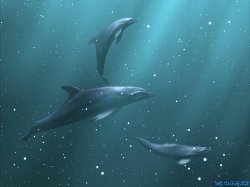 Dolphins Swimming Underwater — Blue, Serene, Digital Art, Sunlight, Bubbles, Teal