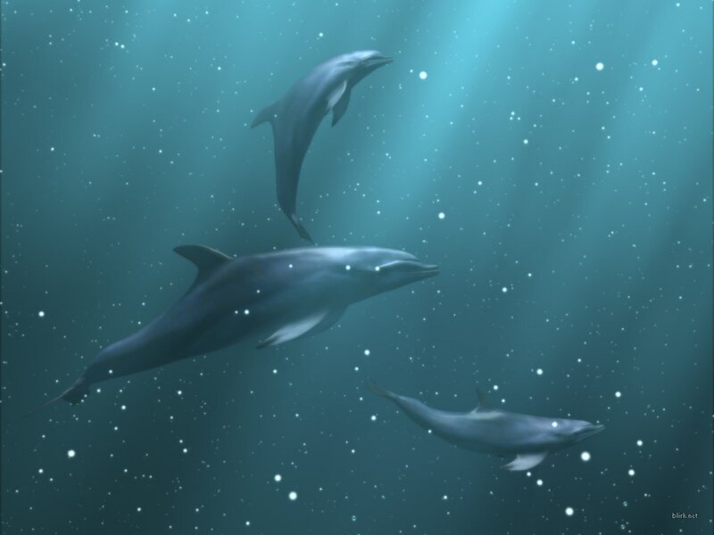 Dolphins Swimming Underwater — Blue, Serene, Digital Art, Sunlight, Bubbles