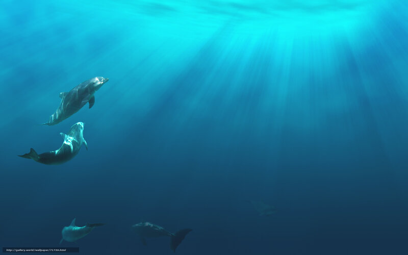 Dolphins Swimming Underwater — Blue, Serene, Digital Art