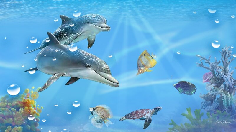 Dolphins Swimming Underwater — Blue, Serene