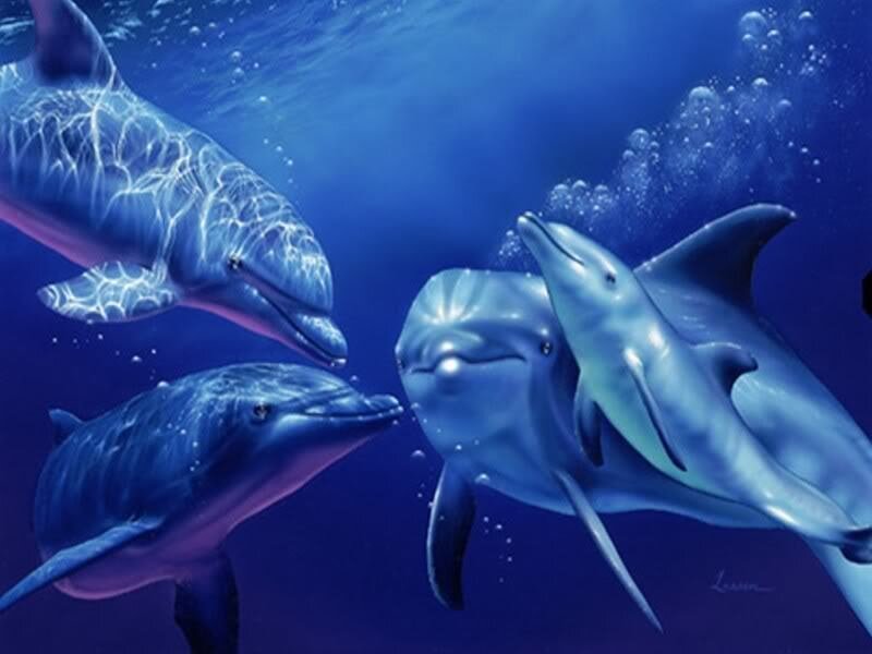 Dolphins Swimming Underwater — Blue
