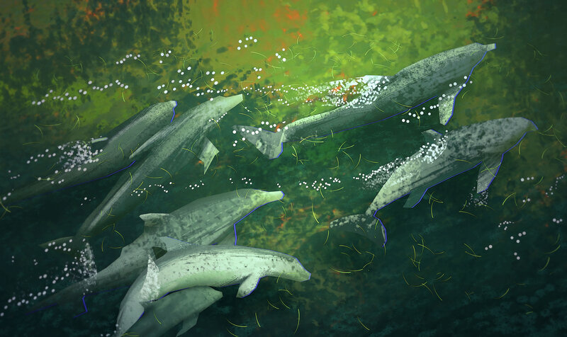 Dolphins Swimming Underwater — Green, Serene