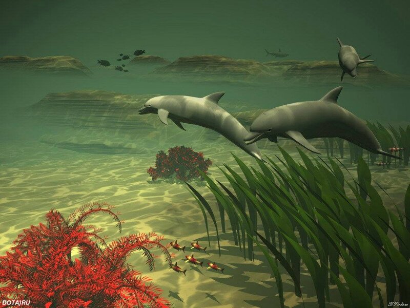 Dolphins Swimming Underwater — Green