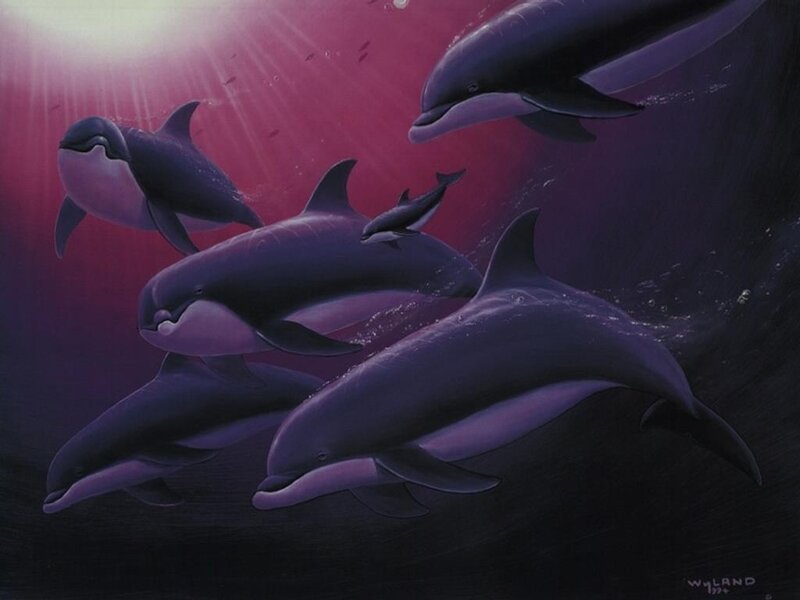 Dolphins Swimming Underwater — Purple, Serene