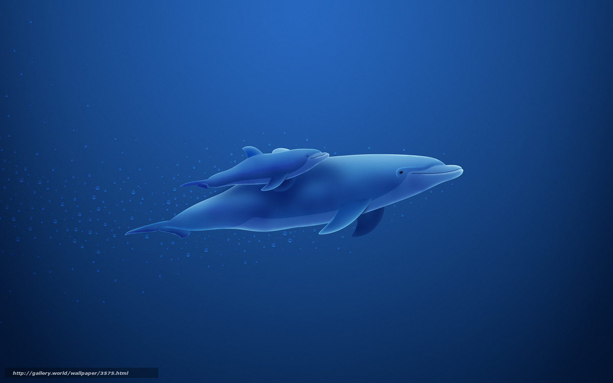 Dolphins swimming underwater