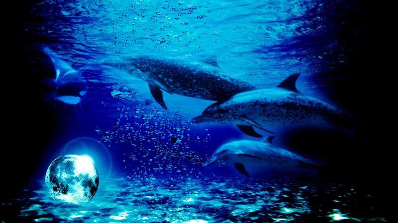 Dolphins Underwater — Blue, Mystical