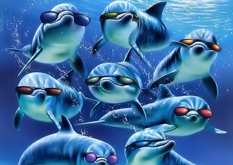 Dolphins Wearing Sunglasses — Blue