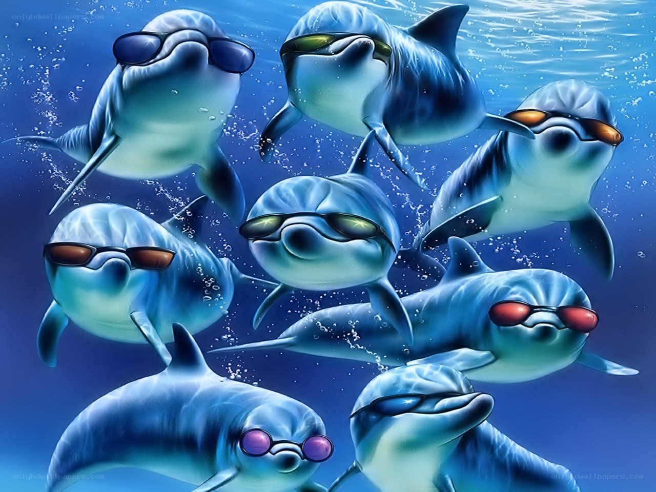 dolphins wearing sunglasses