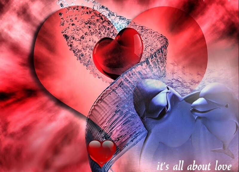 Dolphins with Heart