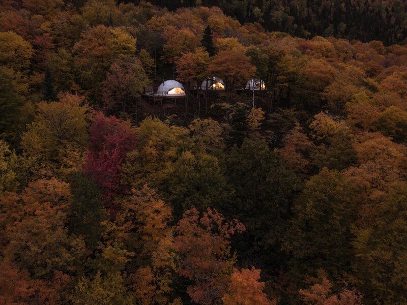 Dome Cabins in Forest