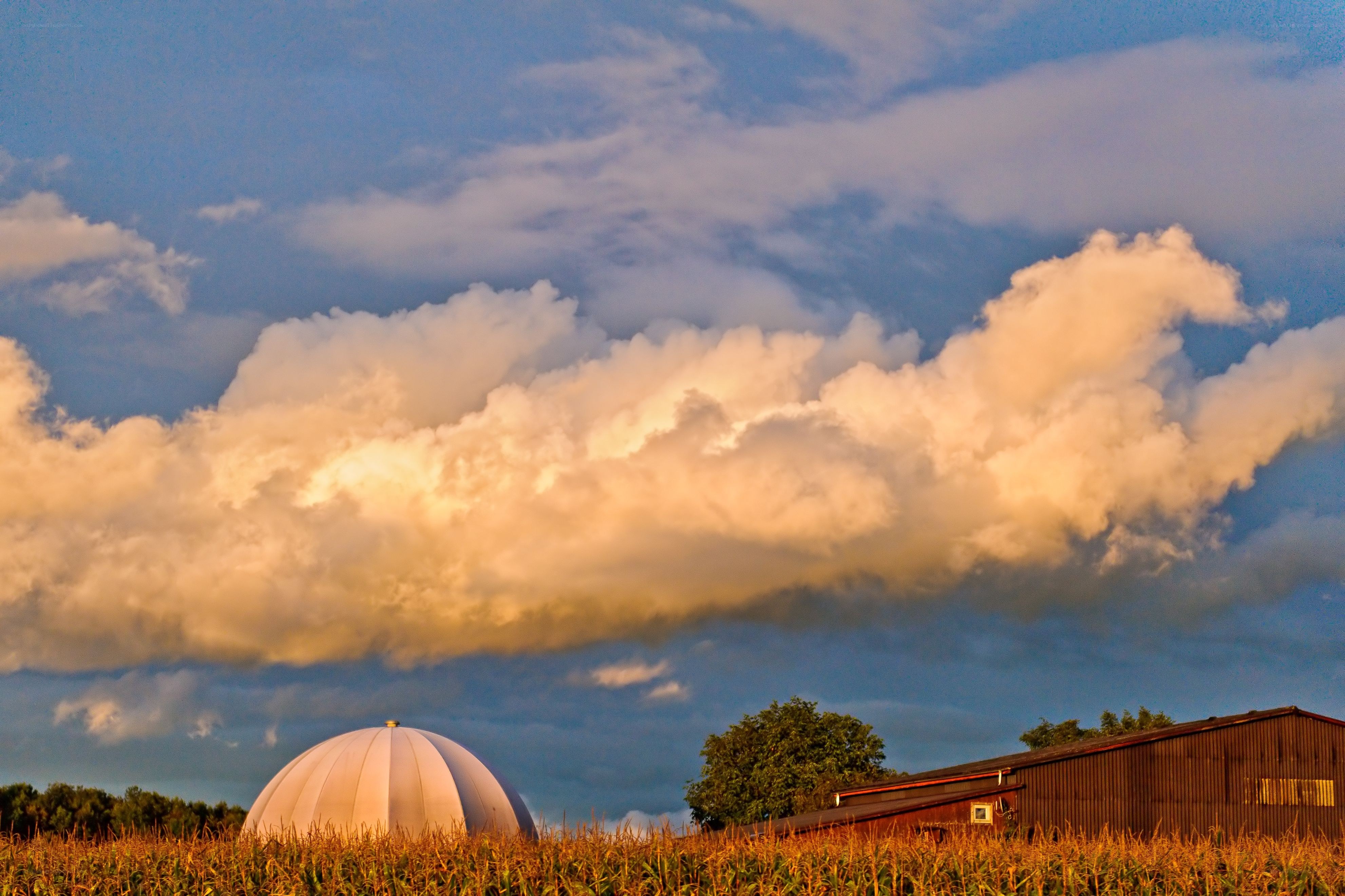 Dome in a cornfield at sunset