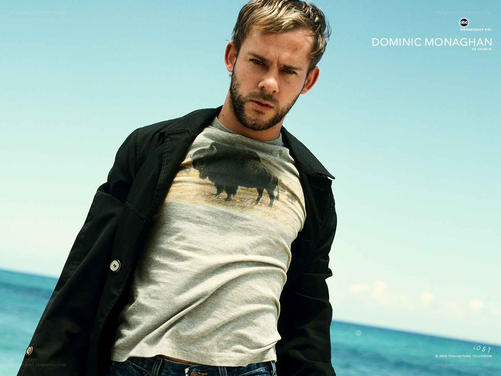 Dominic Monaghan in Lost