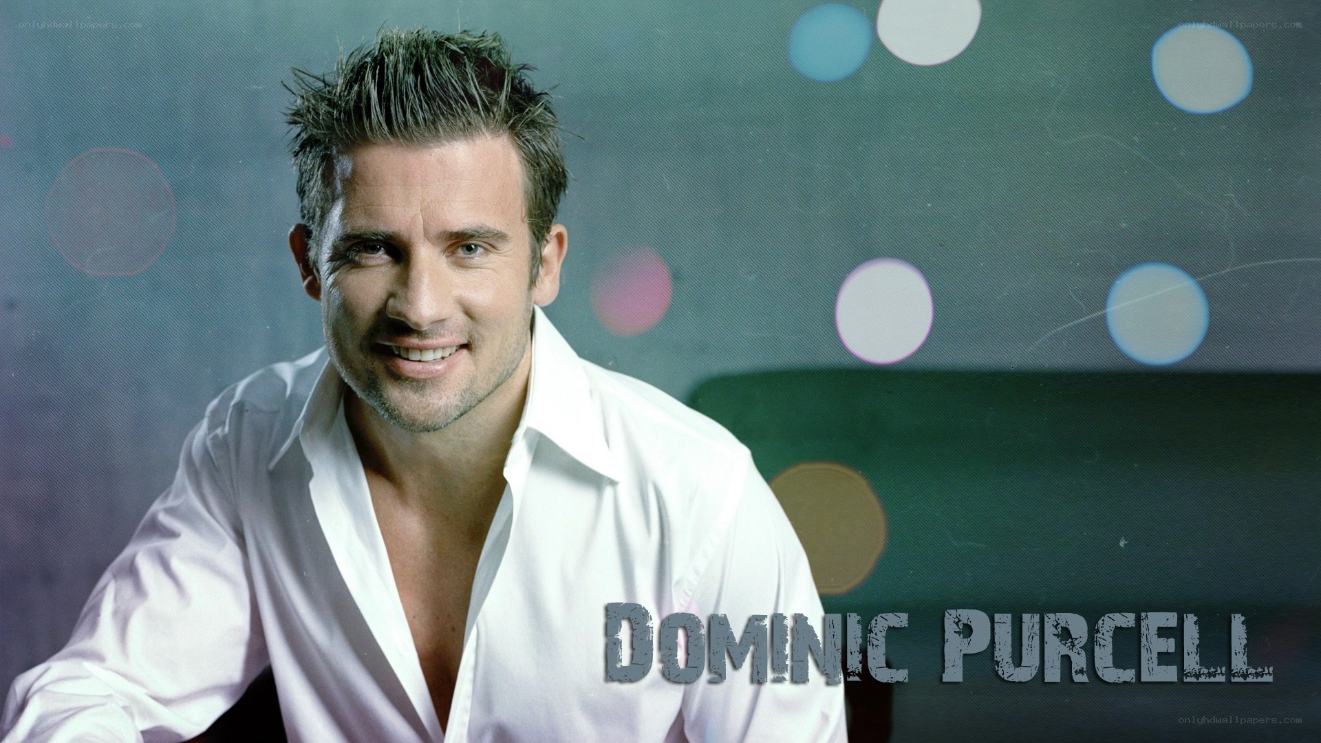 Dominic Purcell portrait