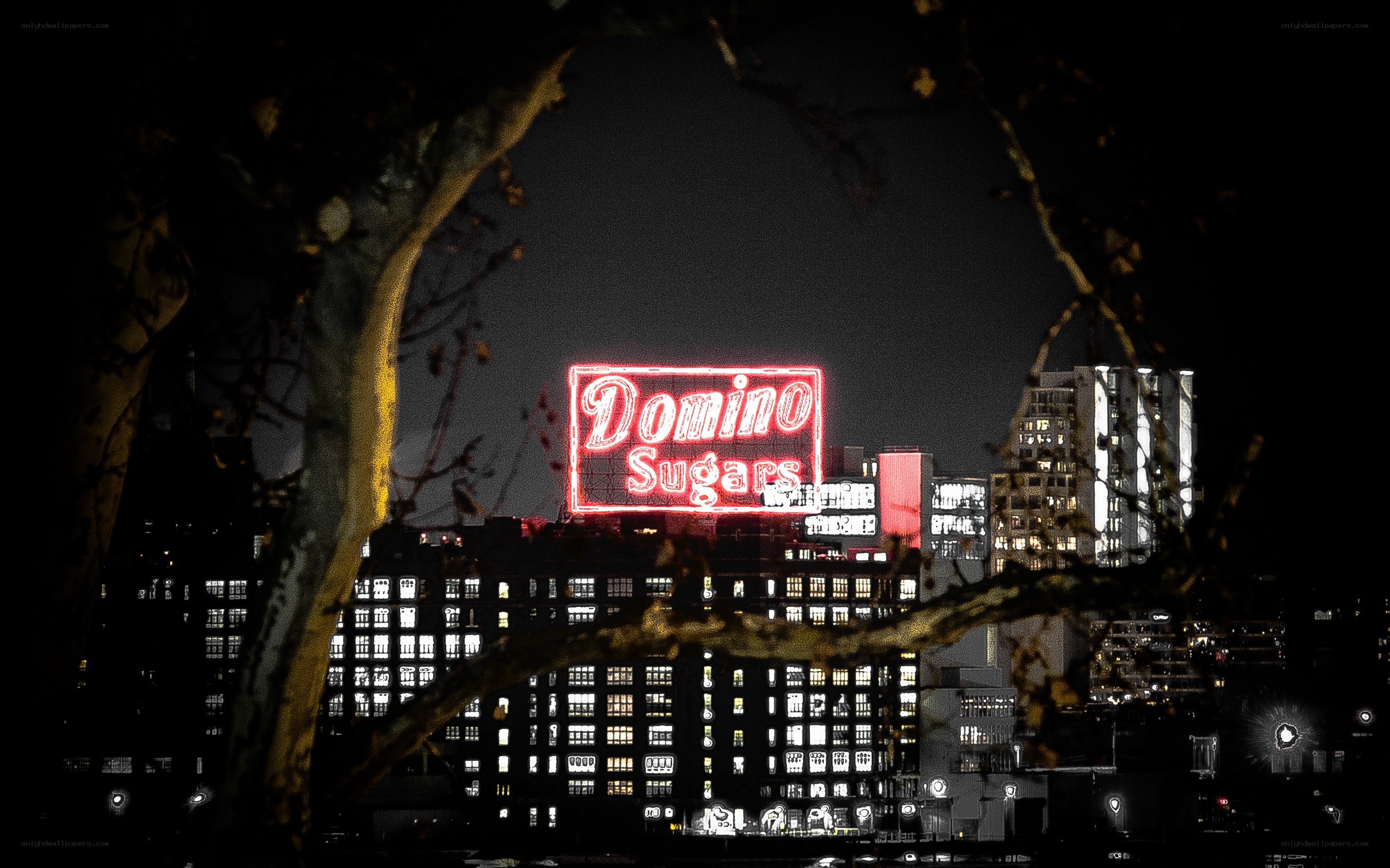 Domino Sugars sign at night