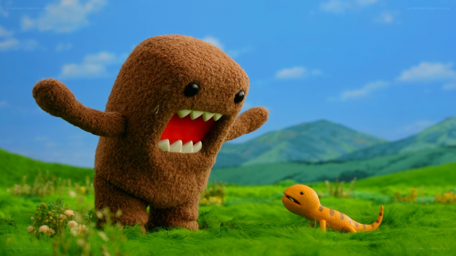 Domo and a lizard in a field