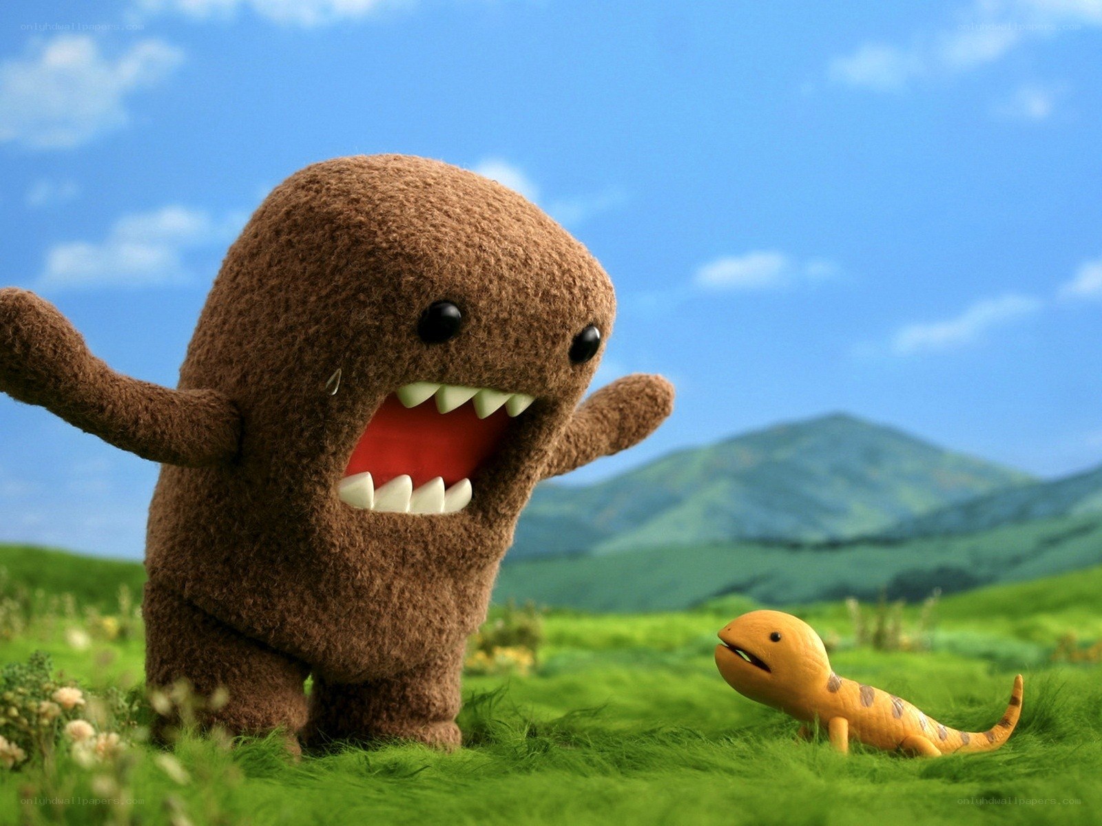 Domo and a lizard in a field