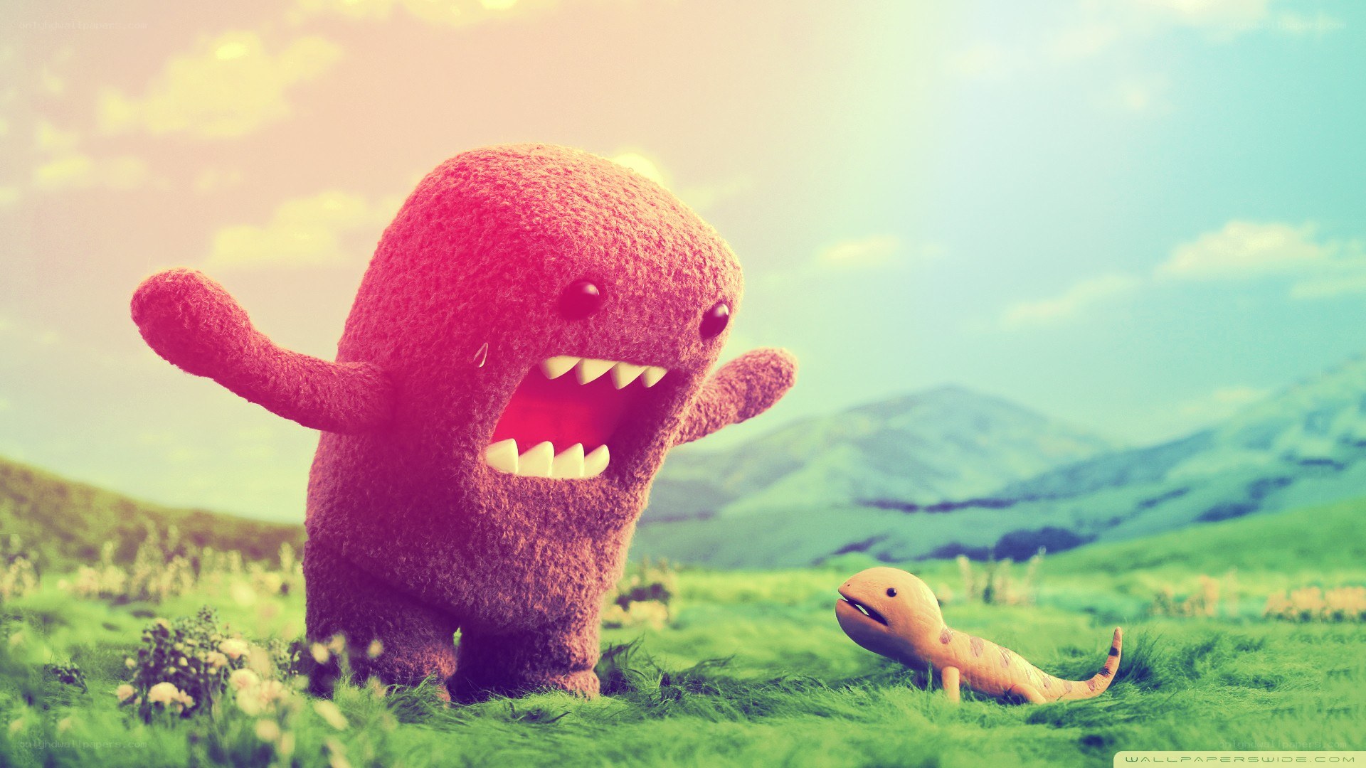 Domo and a lizard in a field