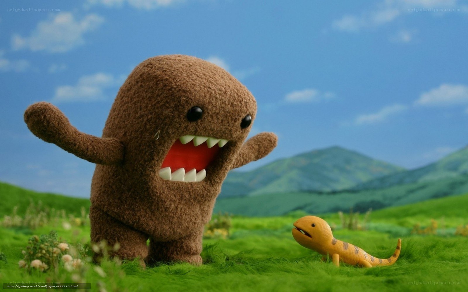 Domo and a lizard in a field