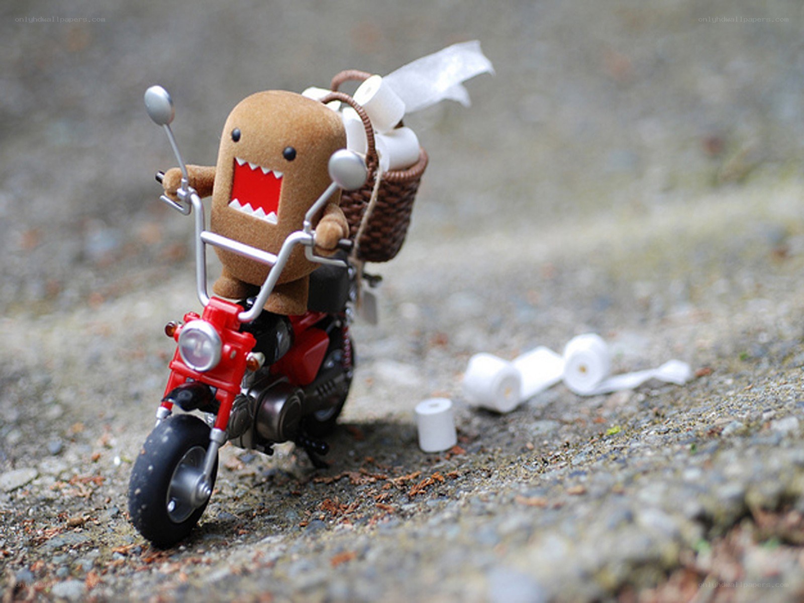 Domo on a motorcycle