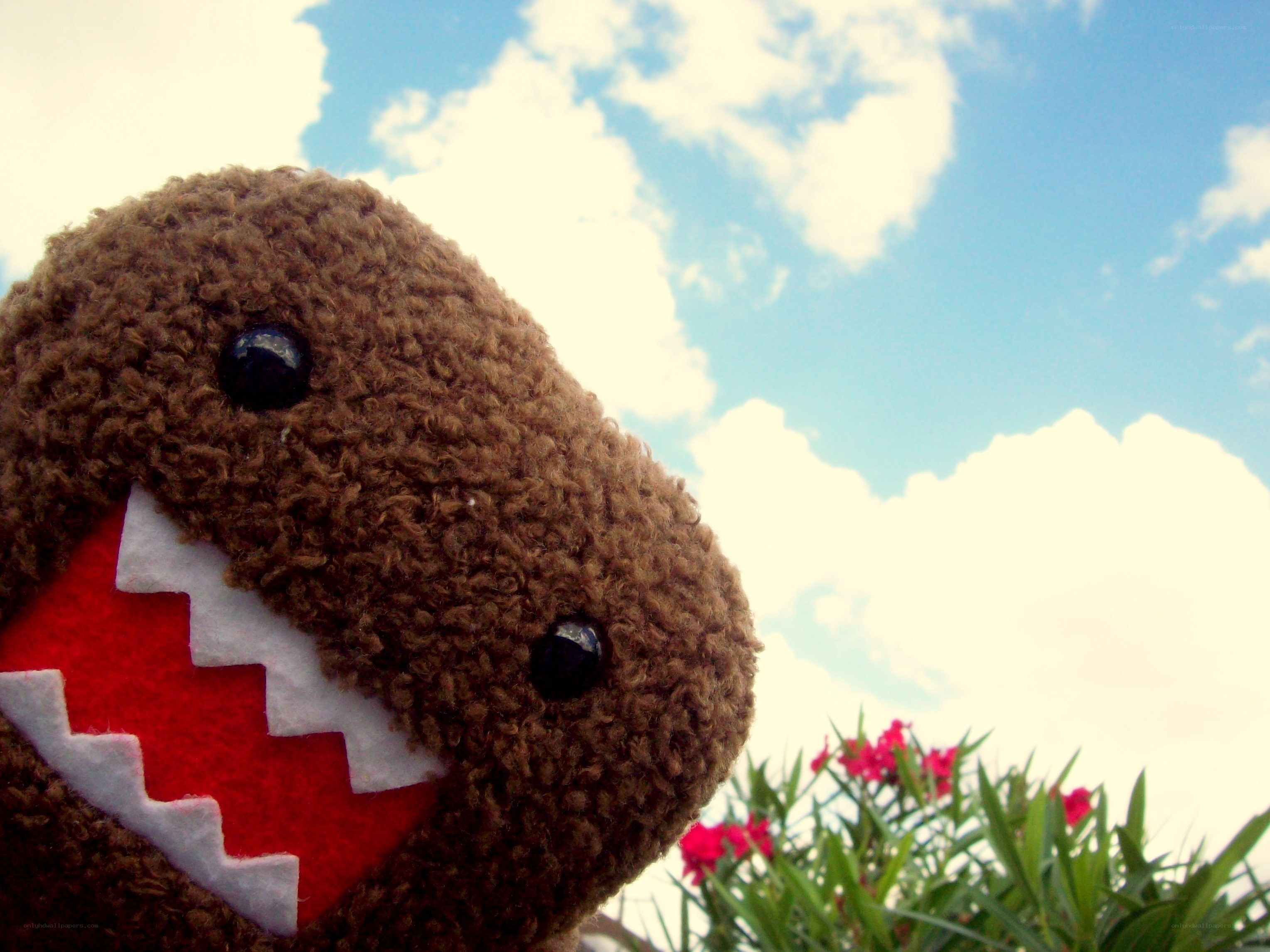 Domo plush against sky
