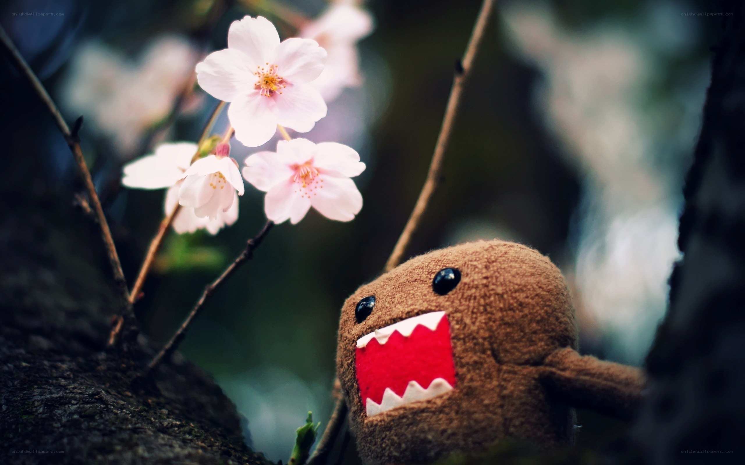 Domo plush among cherry blossoms