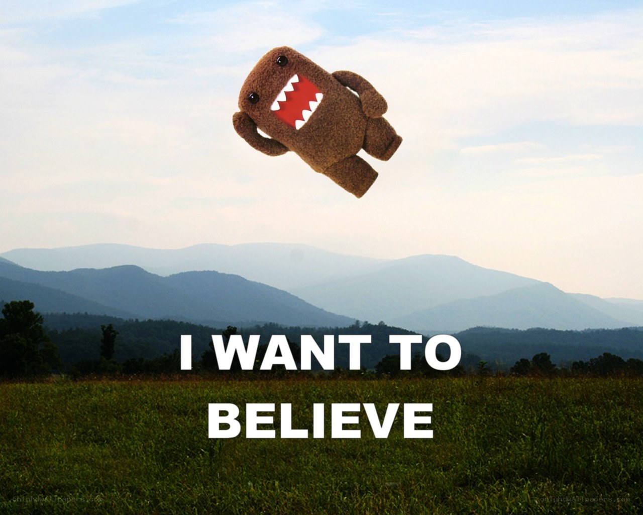 Domo plush in a field