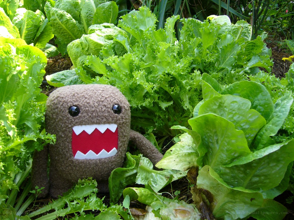 Domo plush in a garden