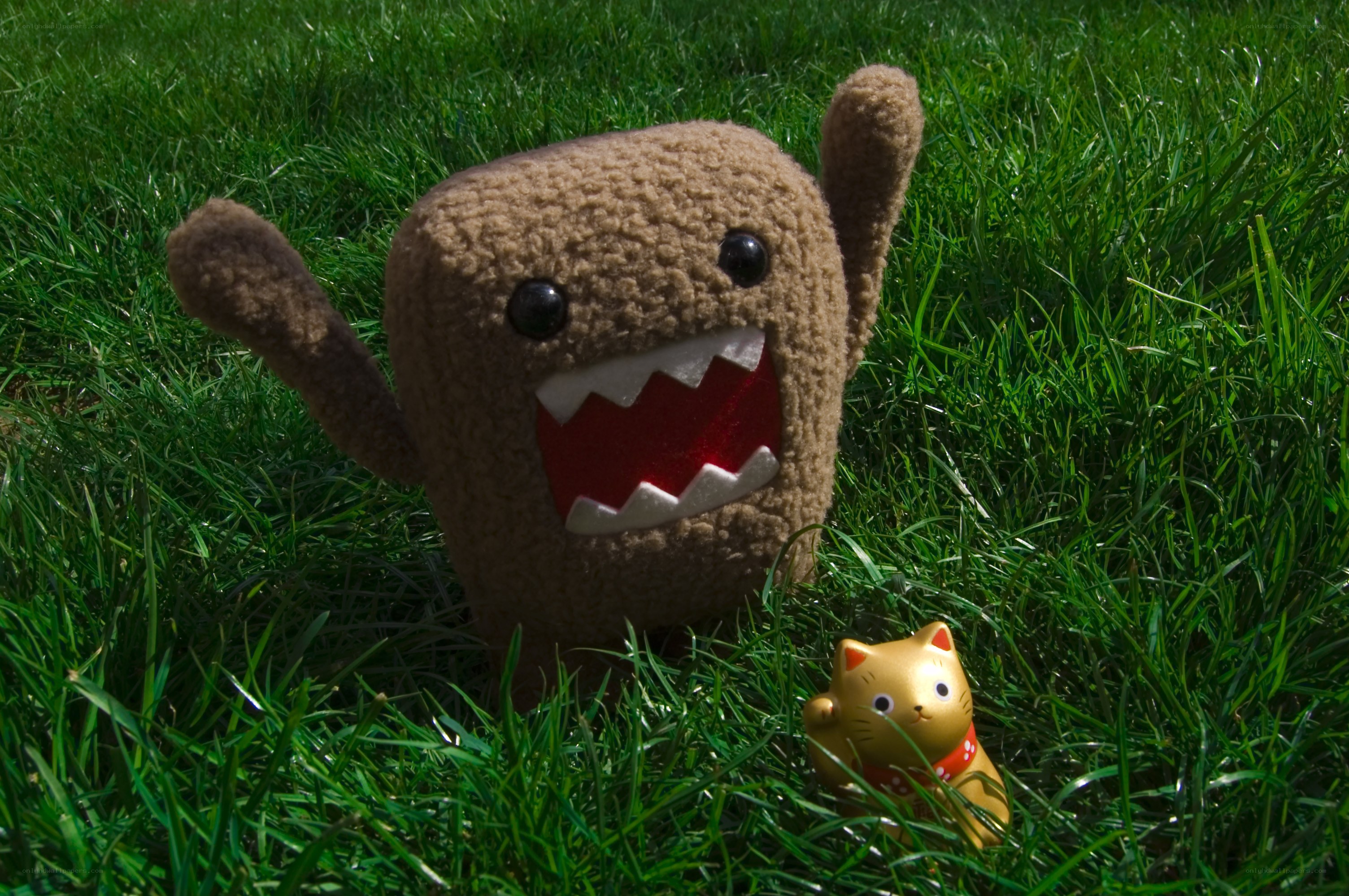 Domo plush in grass