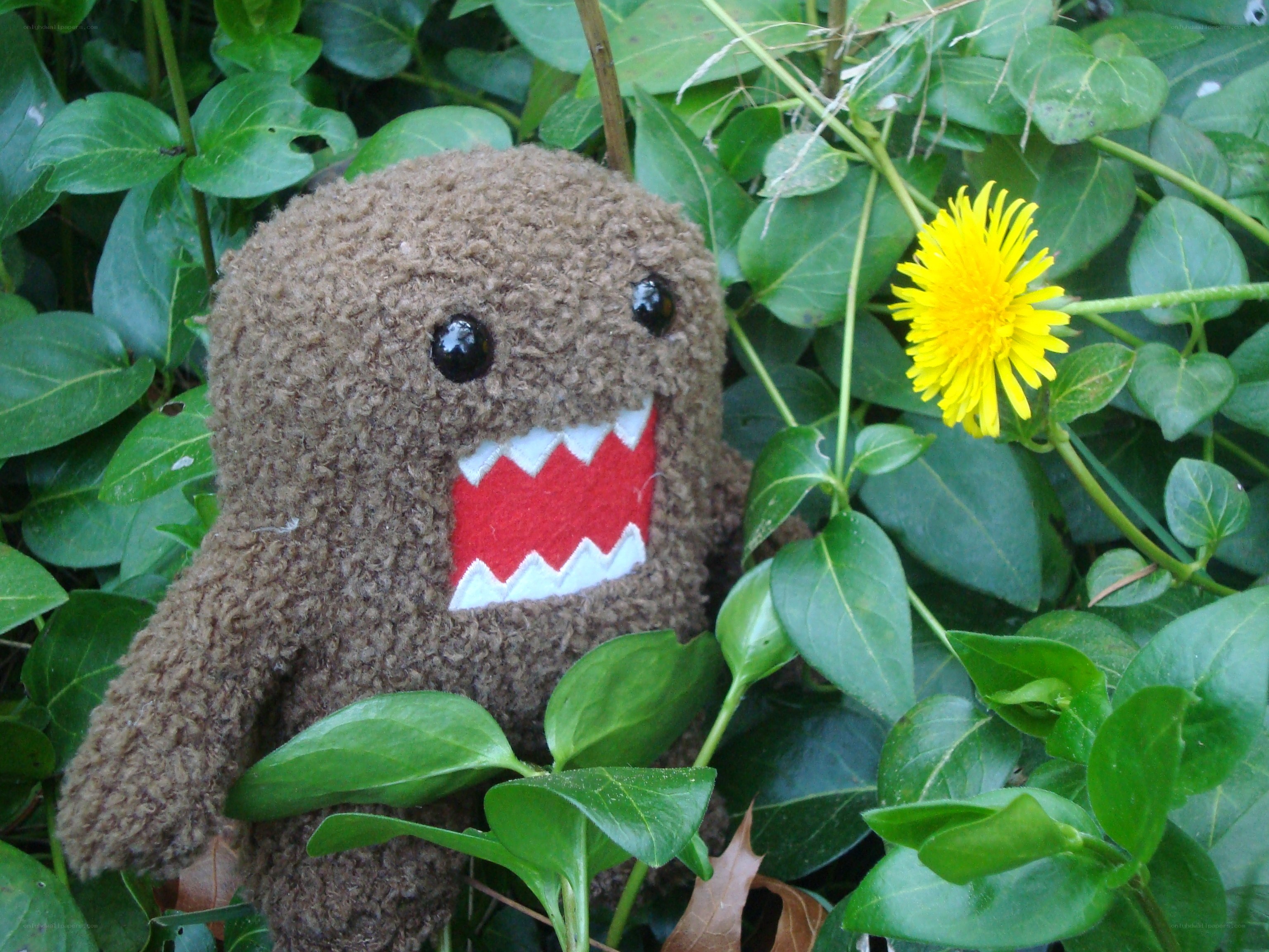 Domo plush in greenery