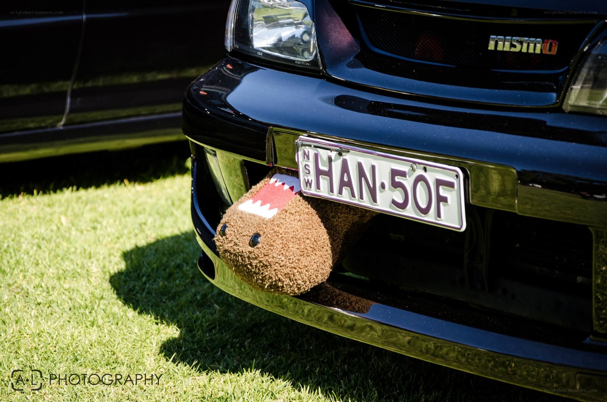 Domo plush on car bumper