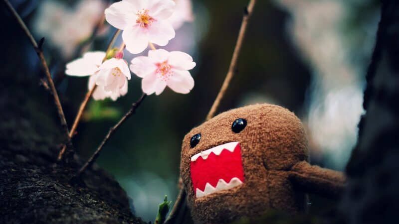 Domo plush with cherry blossoms