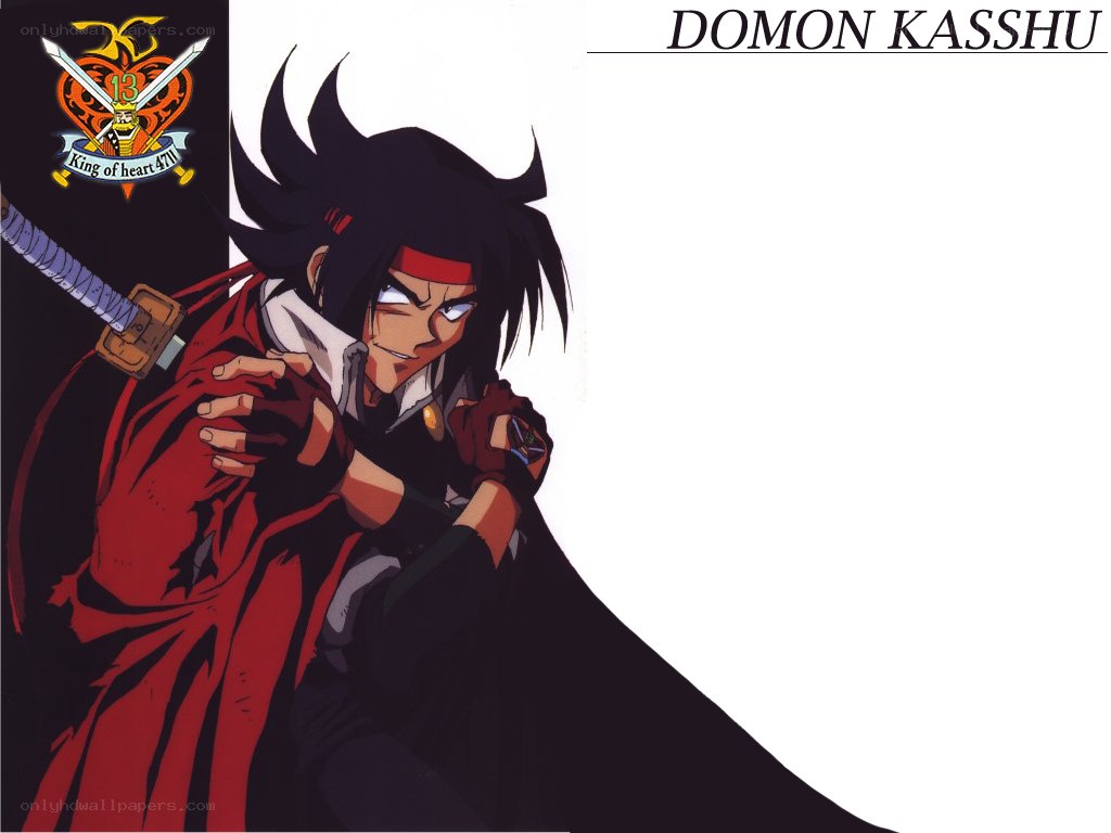 Domon Kasshu character art