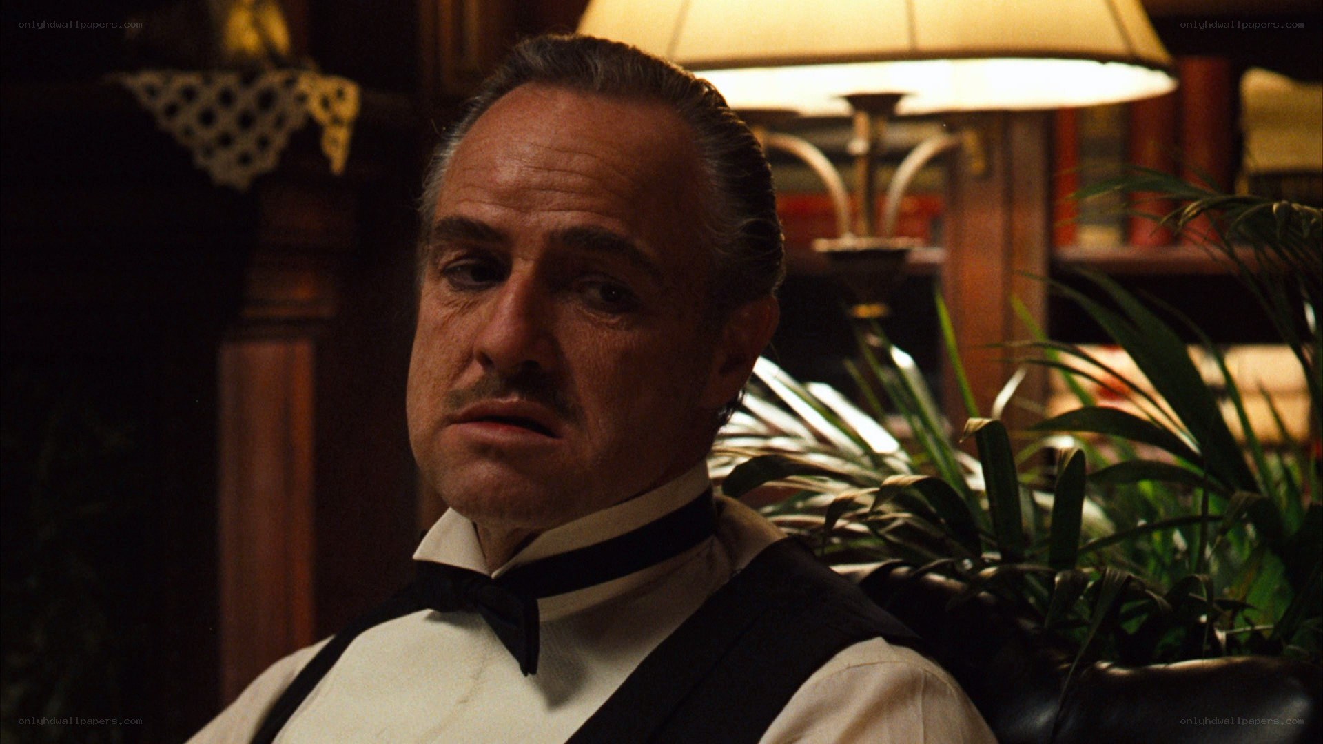 don corleone in office