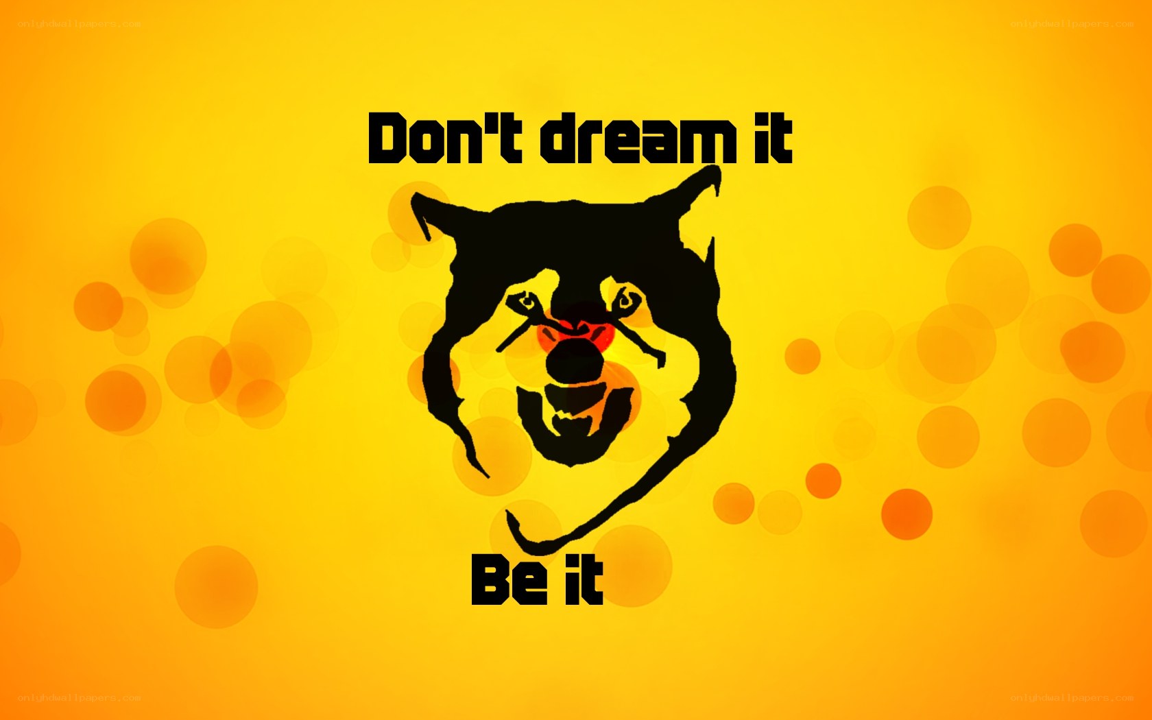 Don't dream it be it