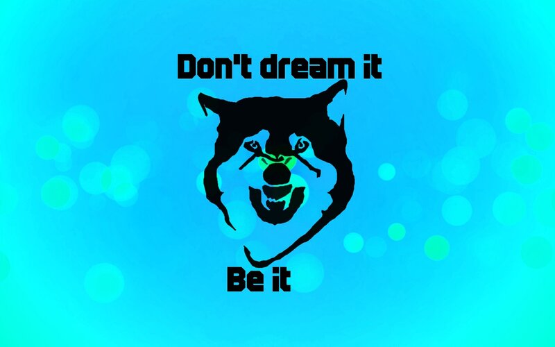 Don't dream it be it