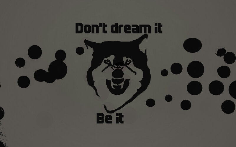 Don't dream it be it