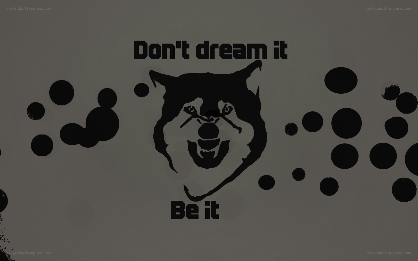 Don't dream it be it