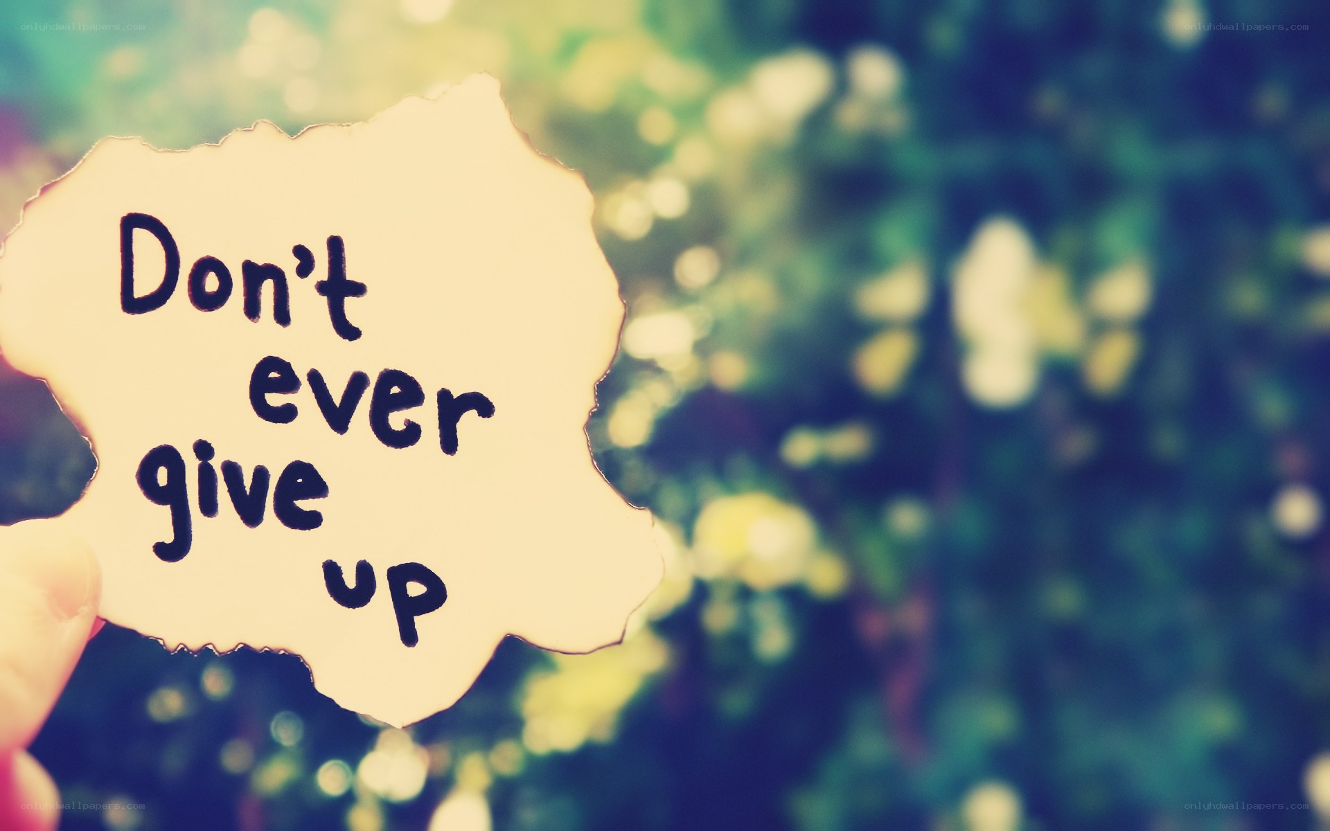 don't ever give up sign