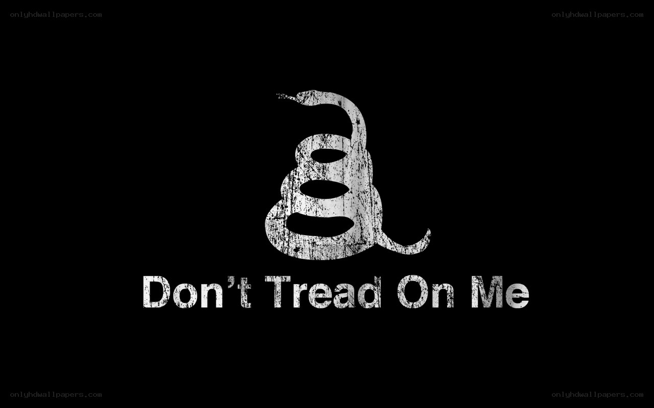 Don't Tread On Me flag