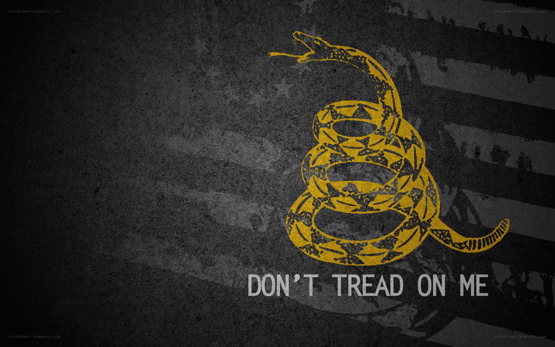 Don't Tread on Me flag