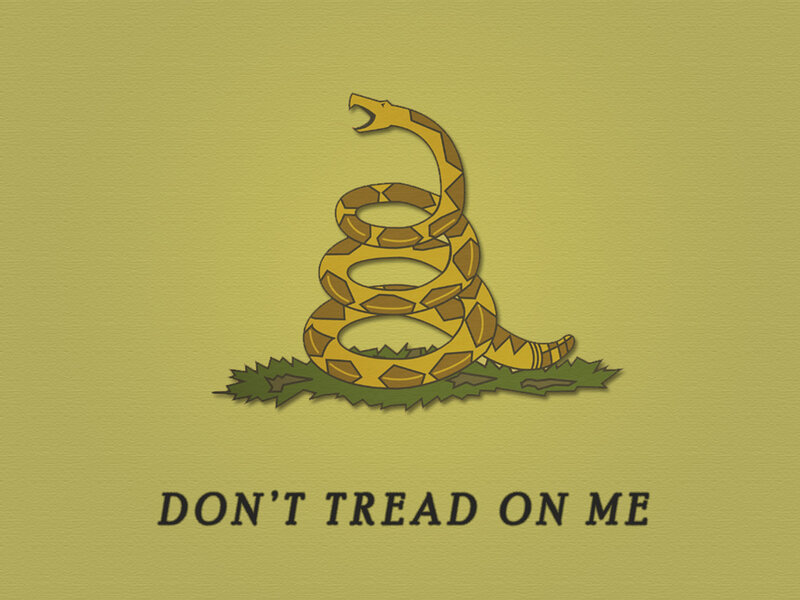 Don't Tread on Me flag