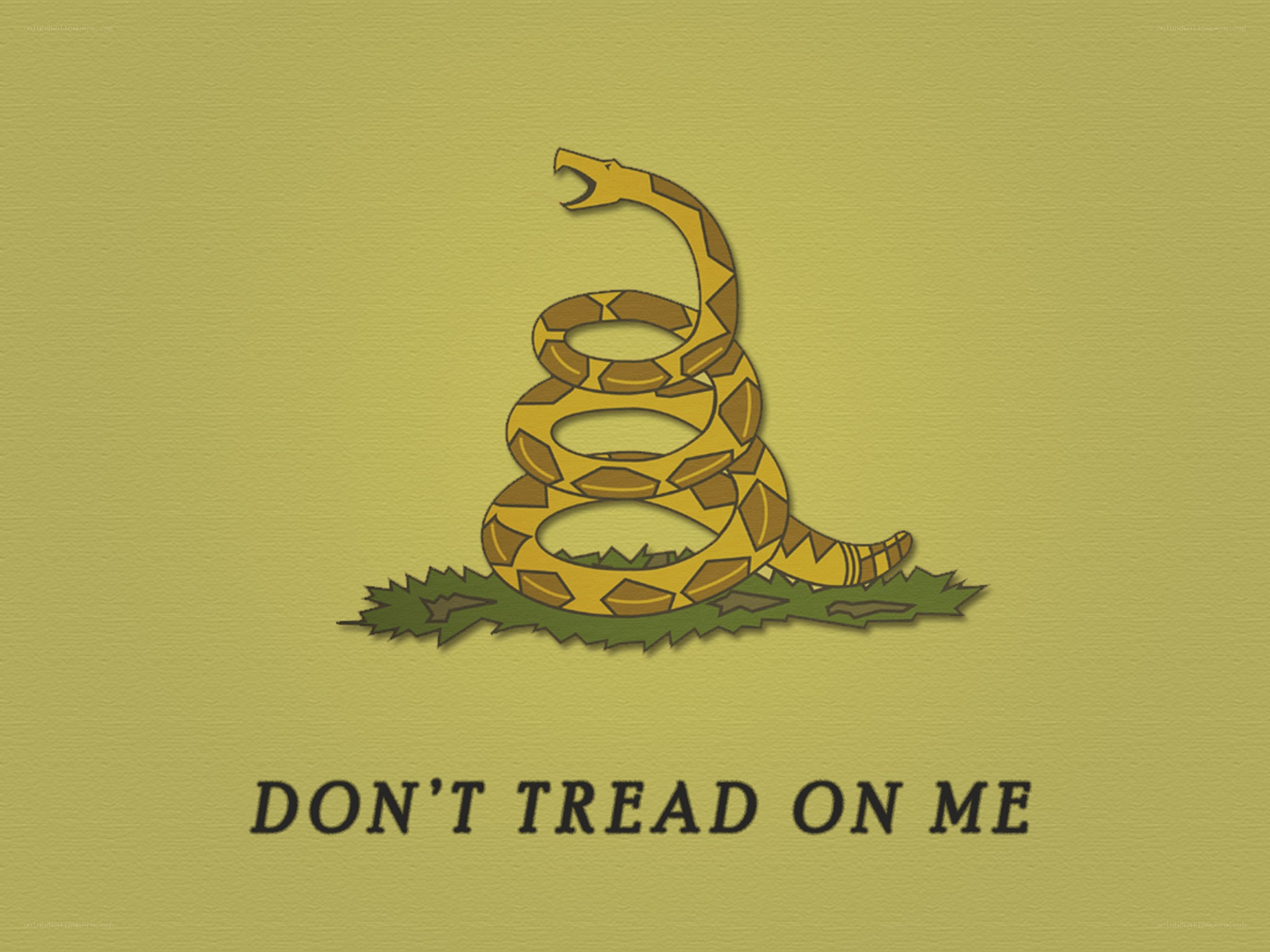 Don't Tread on Me flag