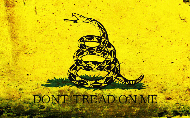 Don't Tread on Me flag