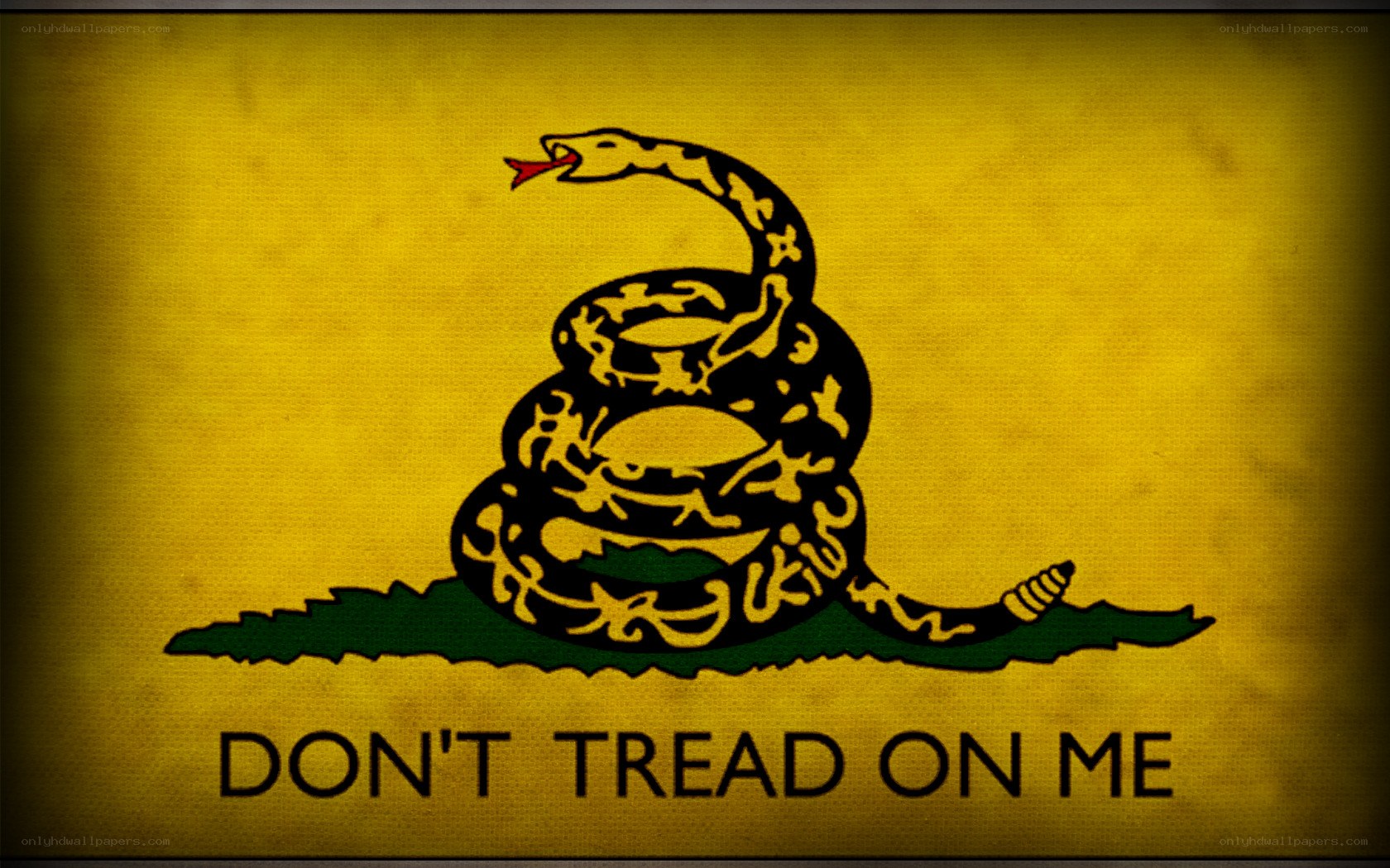Don't Tread on Me flag