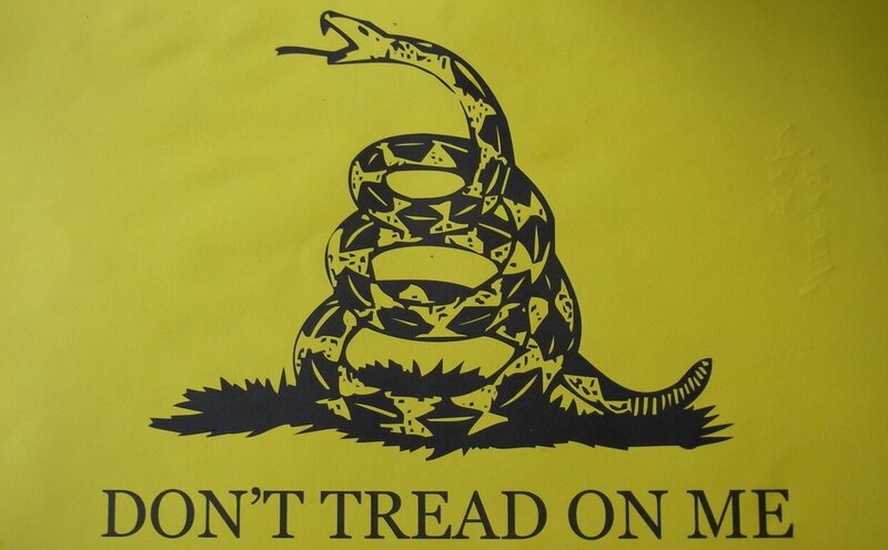 Don't Tread on Me flag