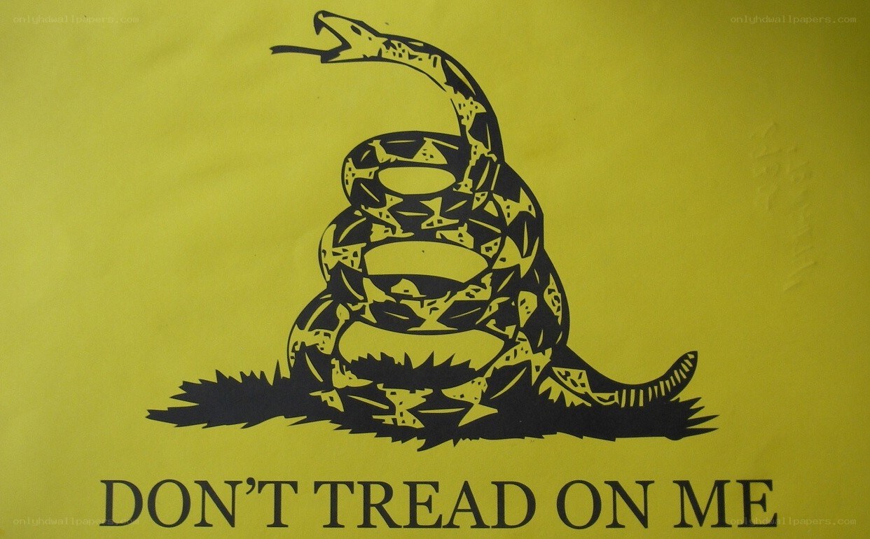 Don't Tread on Me flag