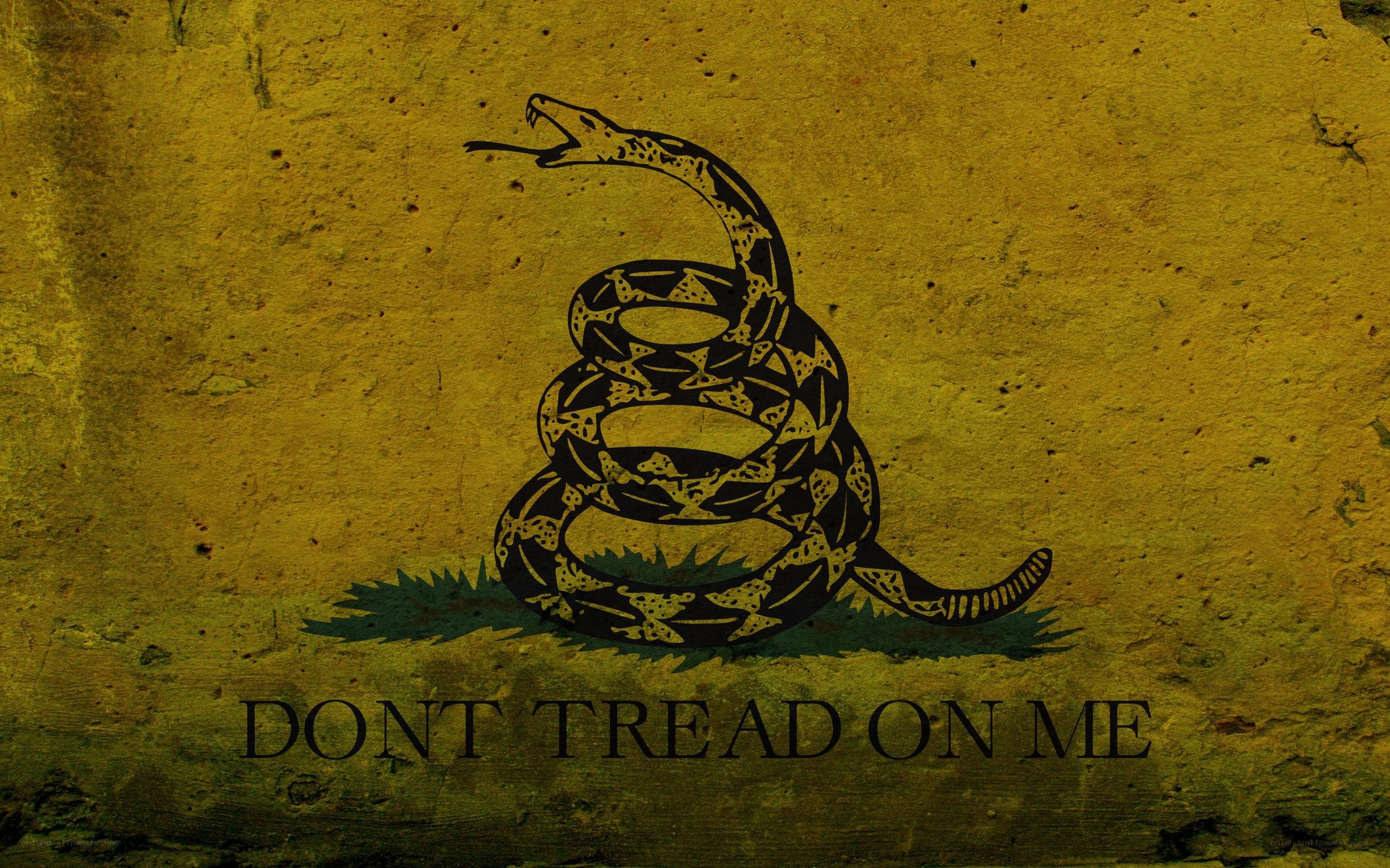 Don't Tread on Me flag