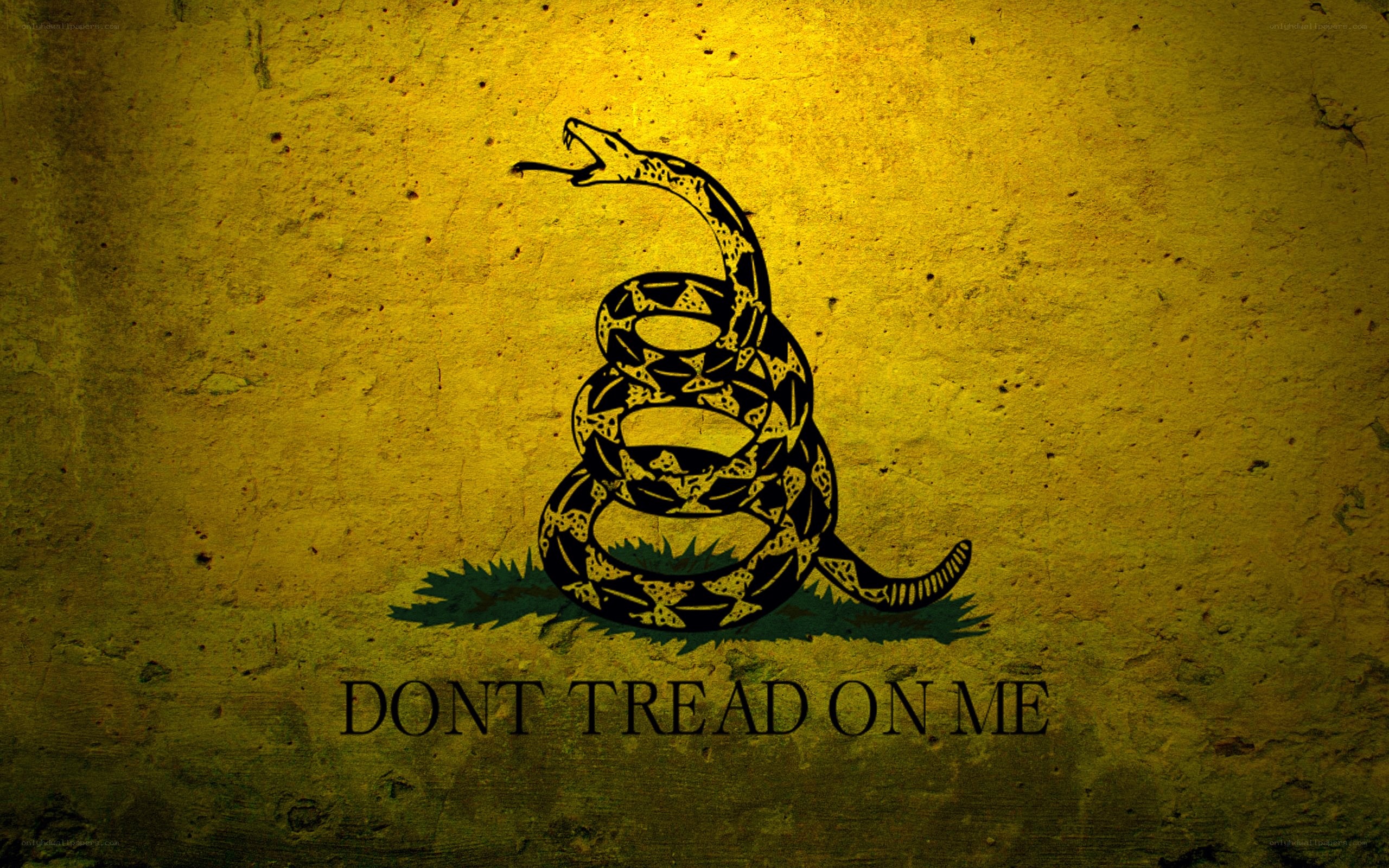 Don't Tread On Me flag