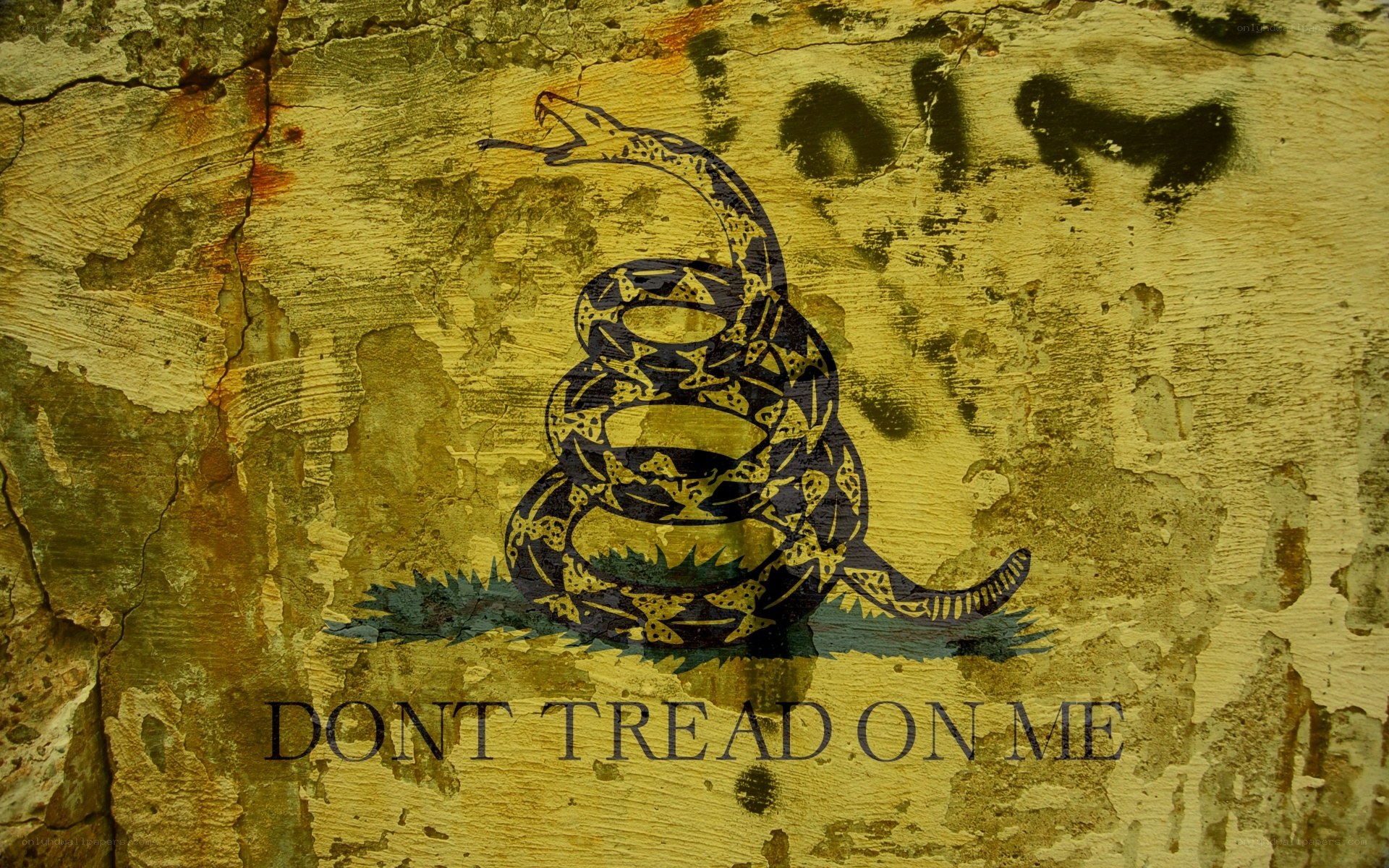 Don't Tread on Me flag